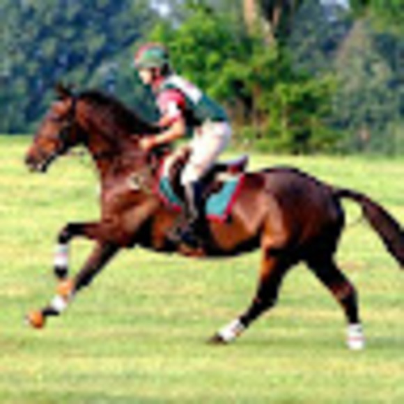 Meet your Posher, Hillary - Picture 1 of 1